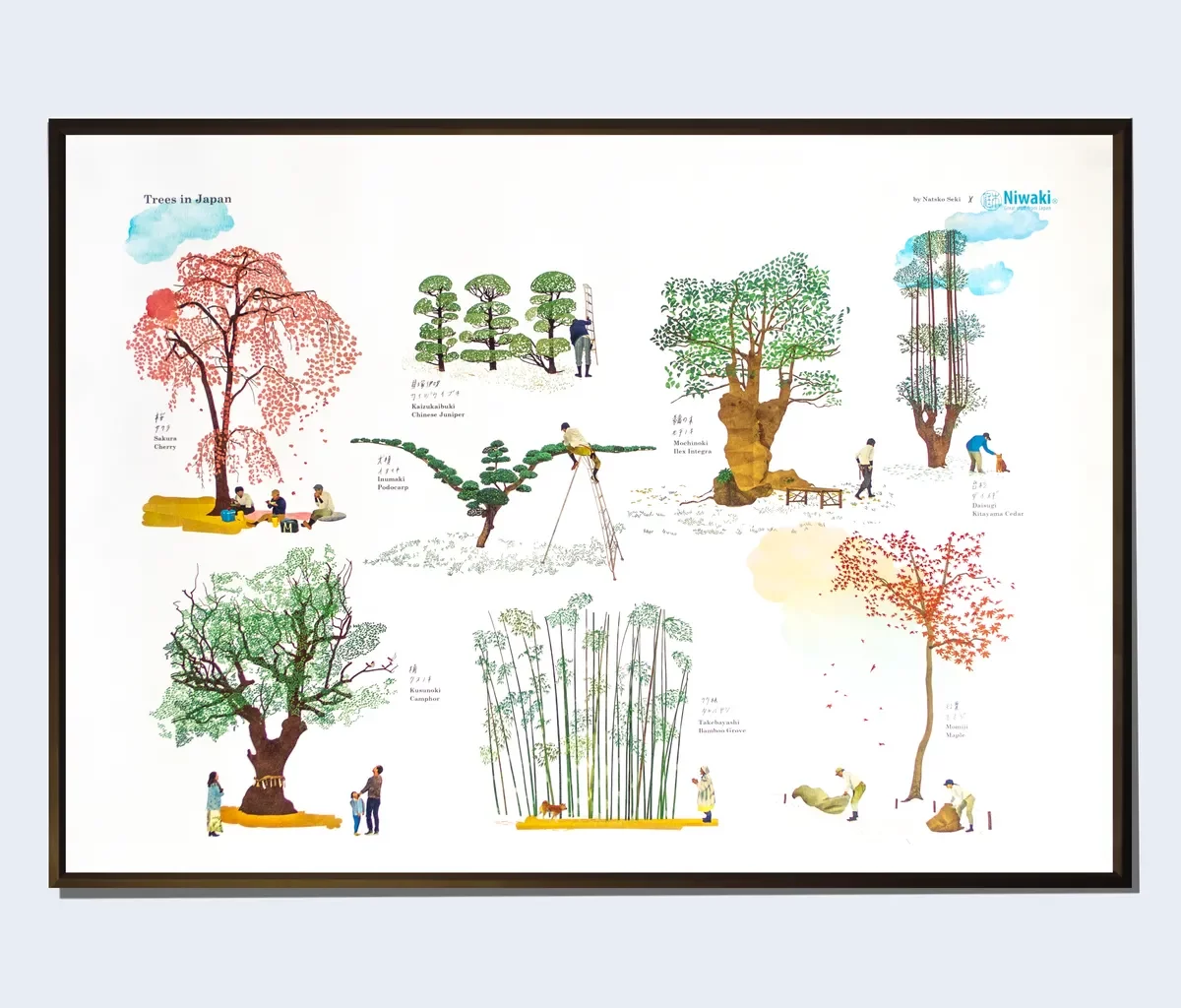 Trees of Japan print, Foundland.com
