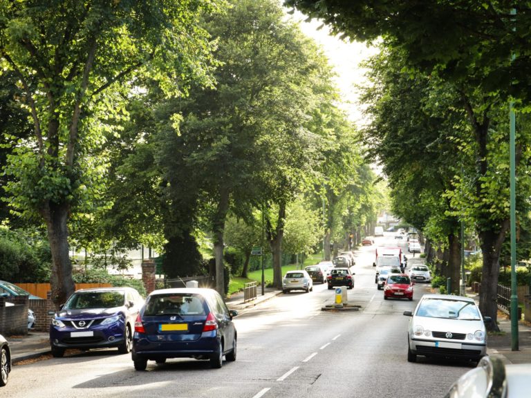 How Street Trees help make our roads safer