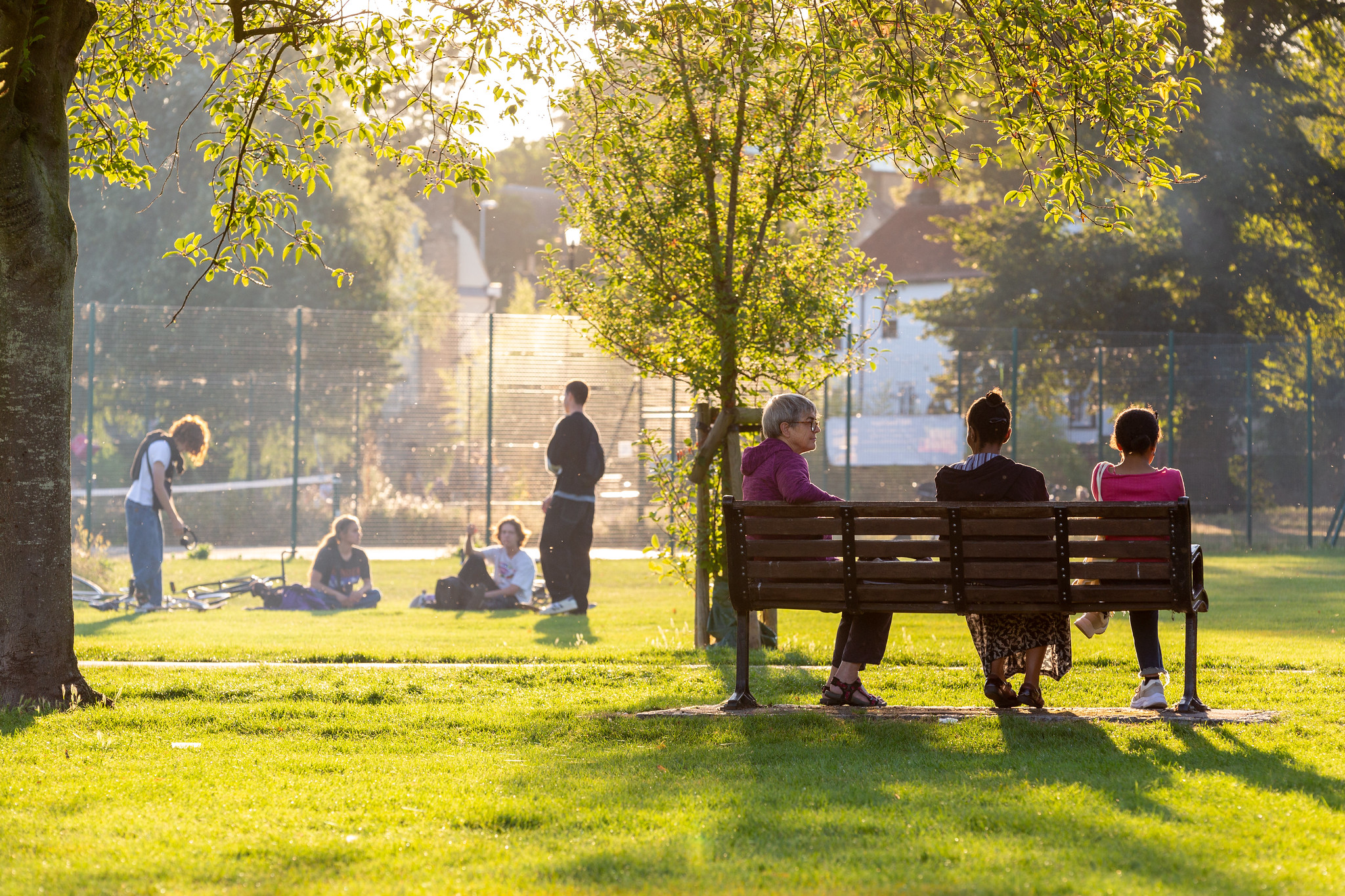 How trees support our mental health Trees for Streets