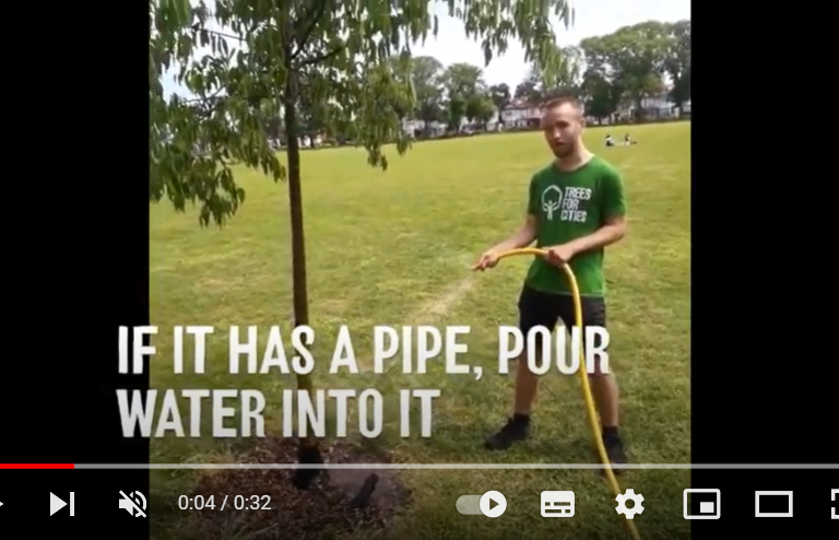 How to use a tree watering Tube