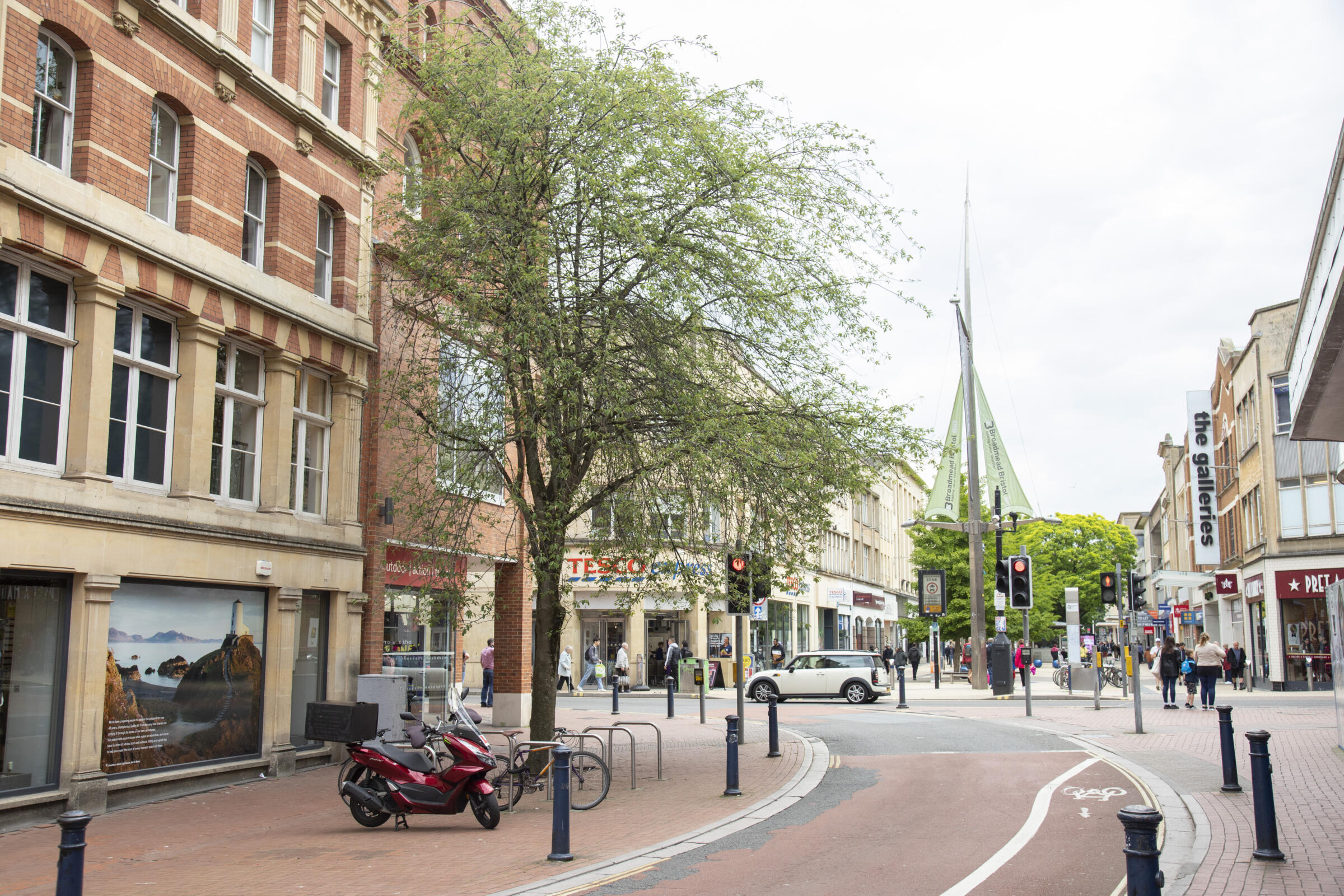Local Landscape Firm Helps Green Bristol Trees for Streets