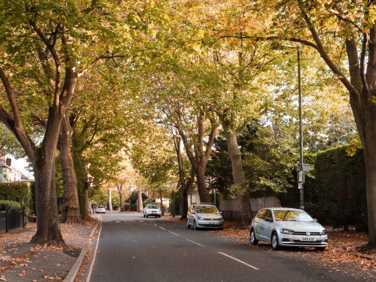 Let’s Fill Merton’s Streets With Trees