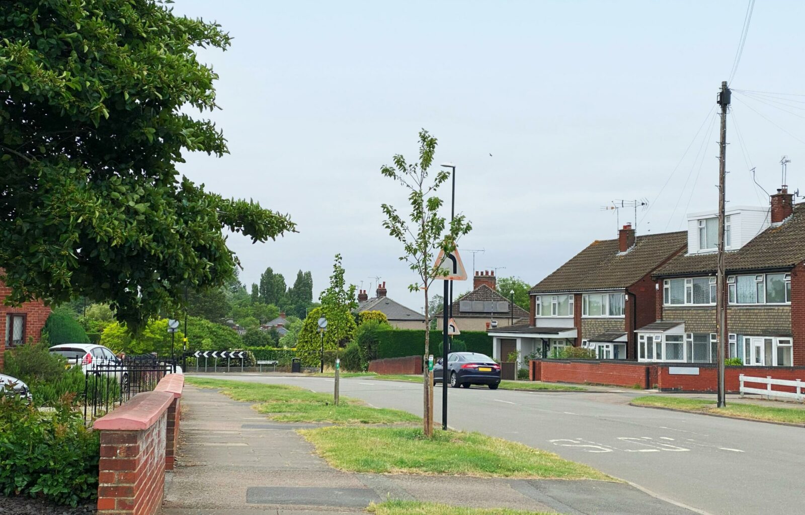 sponsored street trees in coventry