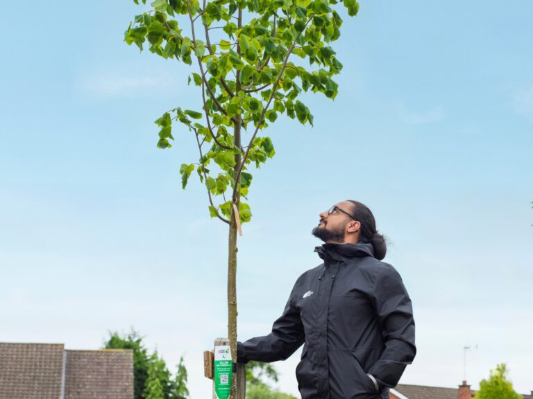 Sponsoring trees for a greener street (and a better view)