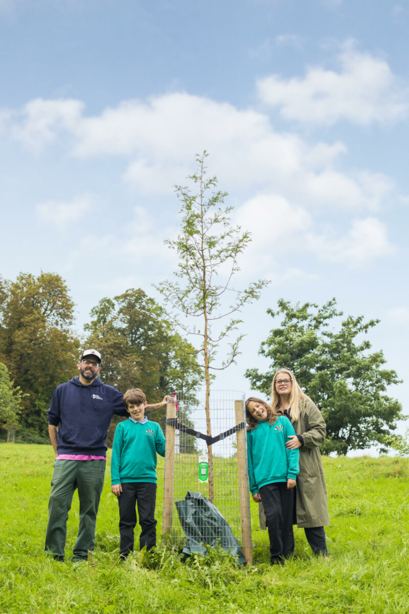 Sponsor Stories Twin trees in honour of twin boys Trees for Streets