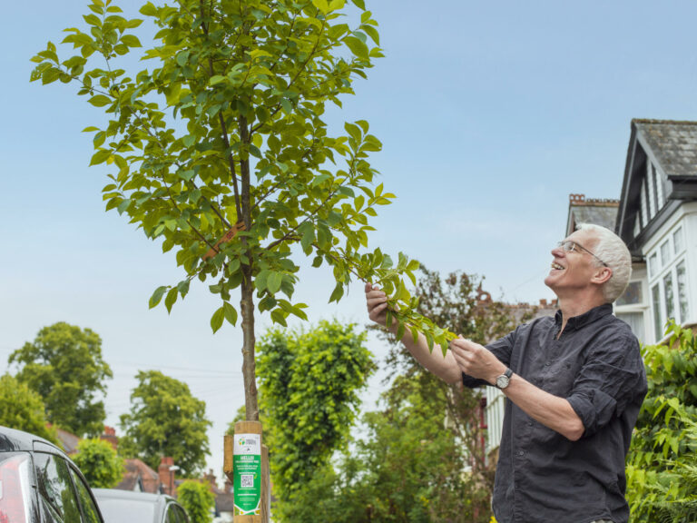Let’s fill Coventry’s streets with trees: Simon’s story