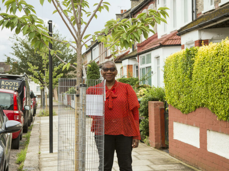 Sponsor Stories: Planting trees for a safer street