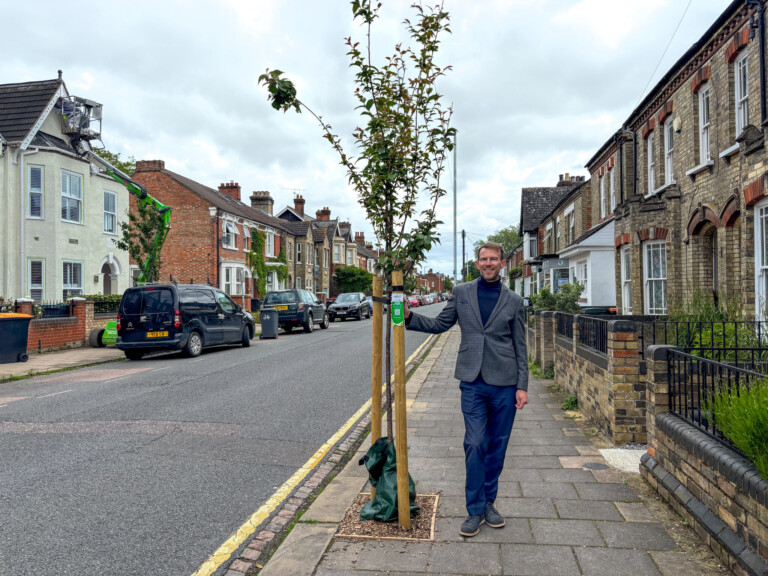 Residents and businesses green up local streets