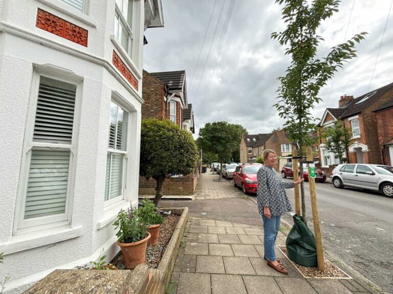 Sponsor Stories: Putting Down New Roots