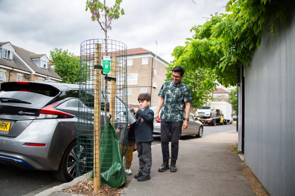 Kenny and his sons watering their new street tree